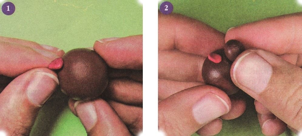 Roll the ball-shaped head using brown clay.