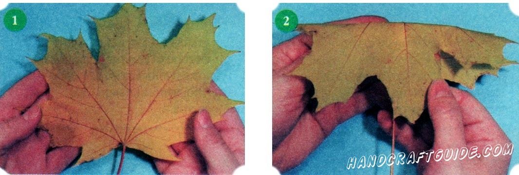 Choose green, yellow and red maple leaves. For this work does not fit too small, dry, torn leaves. To make a bouquet, useful and colorful leaves of other trees and plants.