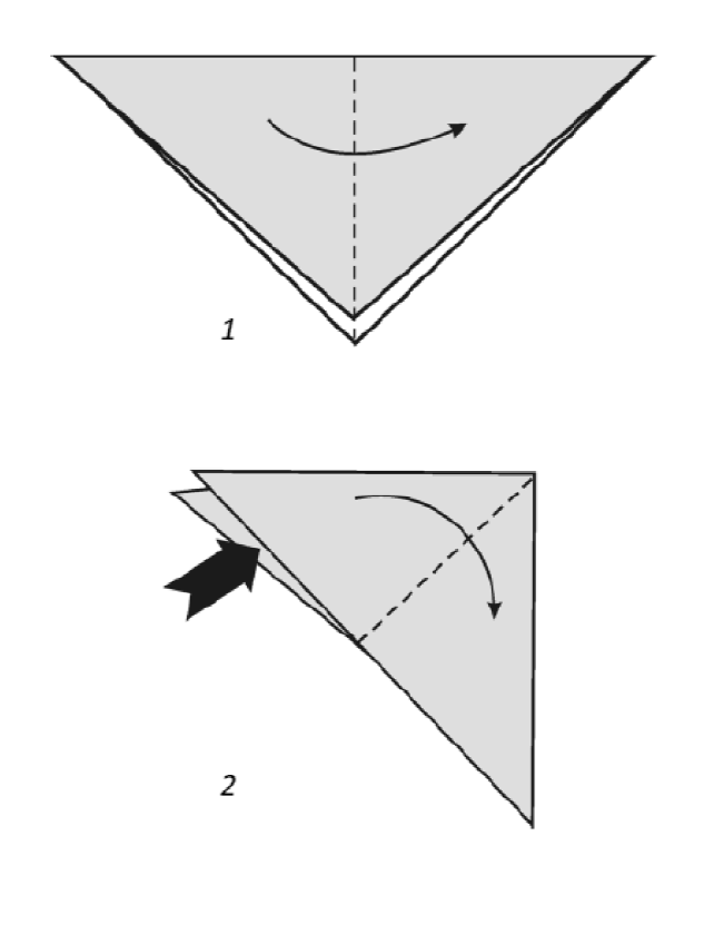 The resulting shape fold in half again