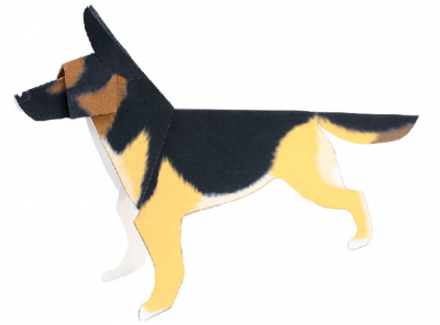 German shepherd(dog)