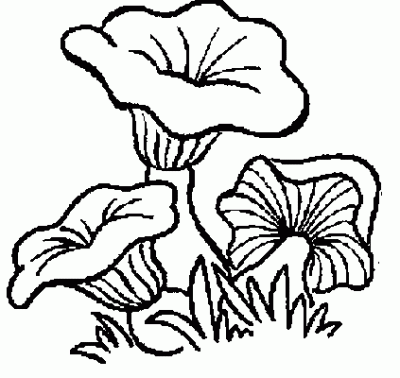 The collection of coloring pages for children with the image of mushrooms