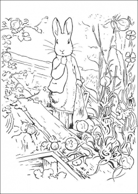 Peter Rabbit part 2